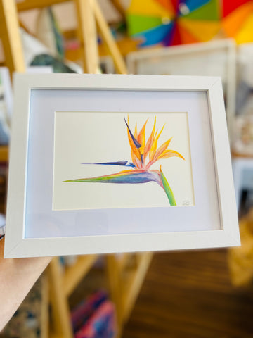 Art by Meredith - Bird of Paradise A5 Frame