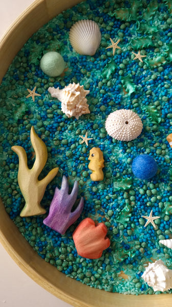 Curious By Nature- Sensory Kit - Rockpool