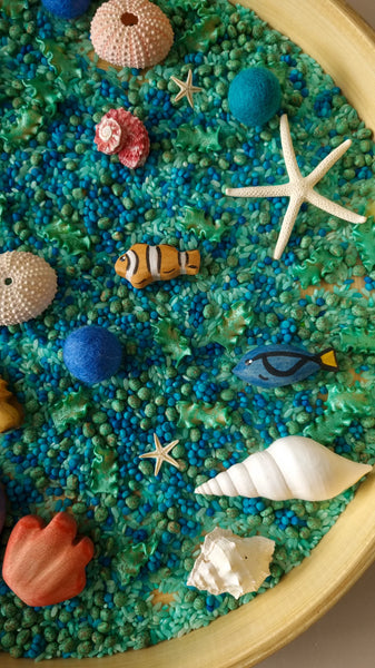 Curious By Nature- Sensory Kit - Rockpool