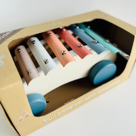Kaper Kidz - Calm & Breezy Pull Along Xylophone Car
