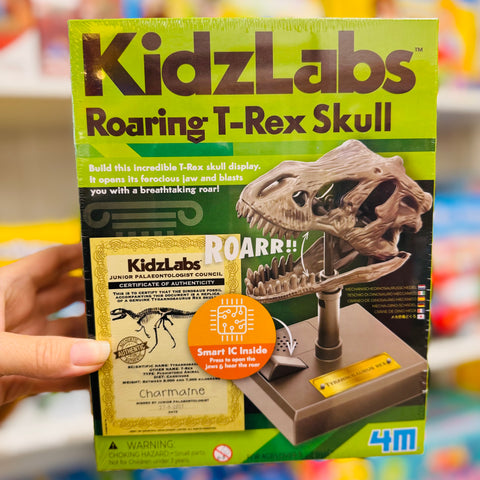 4M - KidzLabs - Roaring T-Rex Skull