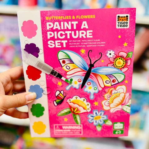 Paint-a-Picture Set - Butterflies & Flowers