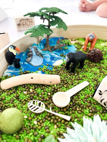 Sensory Kit - Jungle Sensory Bundle