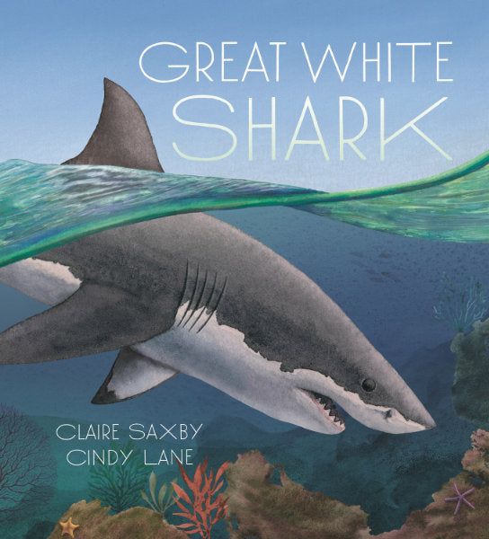 GREAT WHITE SHARK by Claire Saxby & Cindy Lane