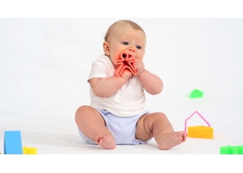 Dena Toys Kid and House Teether Set