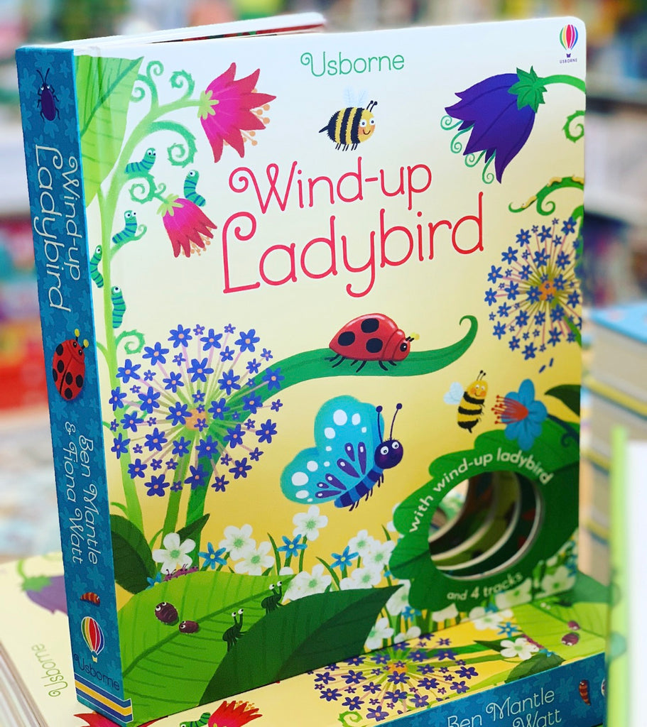 WIND-UP LADYBIRD BOOK