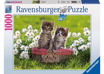 Picnic in the Meadow - Ravensburger 1000 pc Puzzle